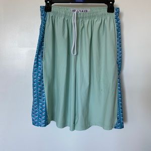 Krass & Co Mint Green/Blue Athletic Shorts Large - Used In Excellent Condition